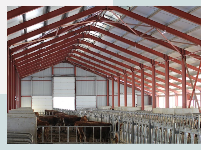 Строительство коровников в Тюмени