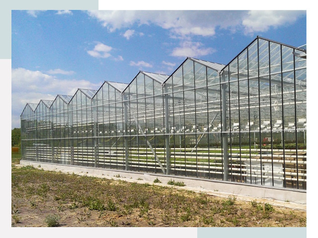 Строительство теплиц в Тюмень от 612 руб. за м²