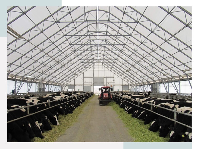 Тентовые коровники в Тюмени от 612 руб. - Надежно и доступно