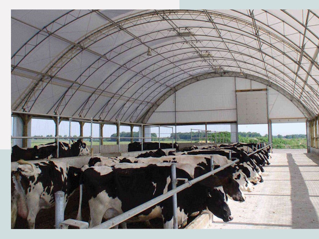 Тентовые коровники в Тюмени