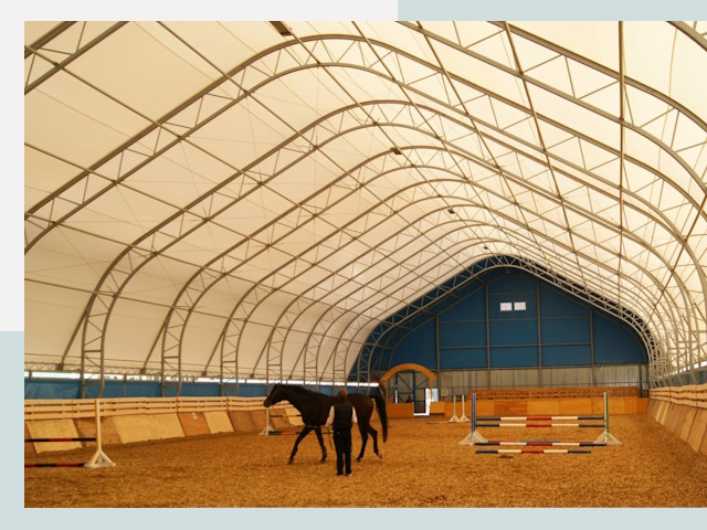 Строительство конных манежей в Тюмени